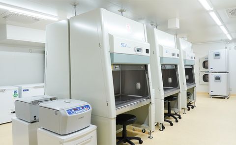 幹細胞を用いた治療を提供