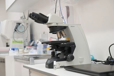 院内で迅速な血液検査が可能